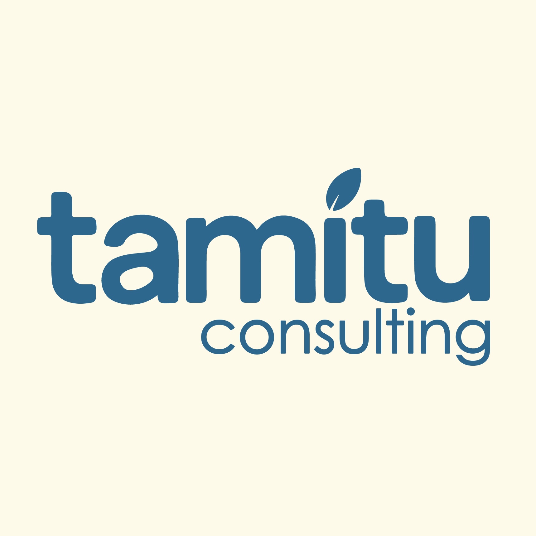 Tamitu Consulting